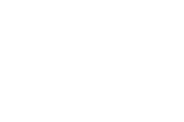 Zola Registry Logo